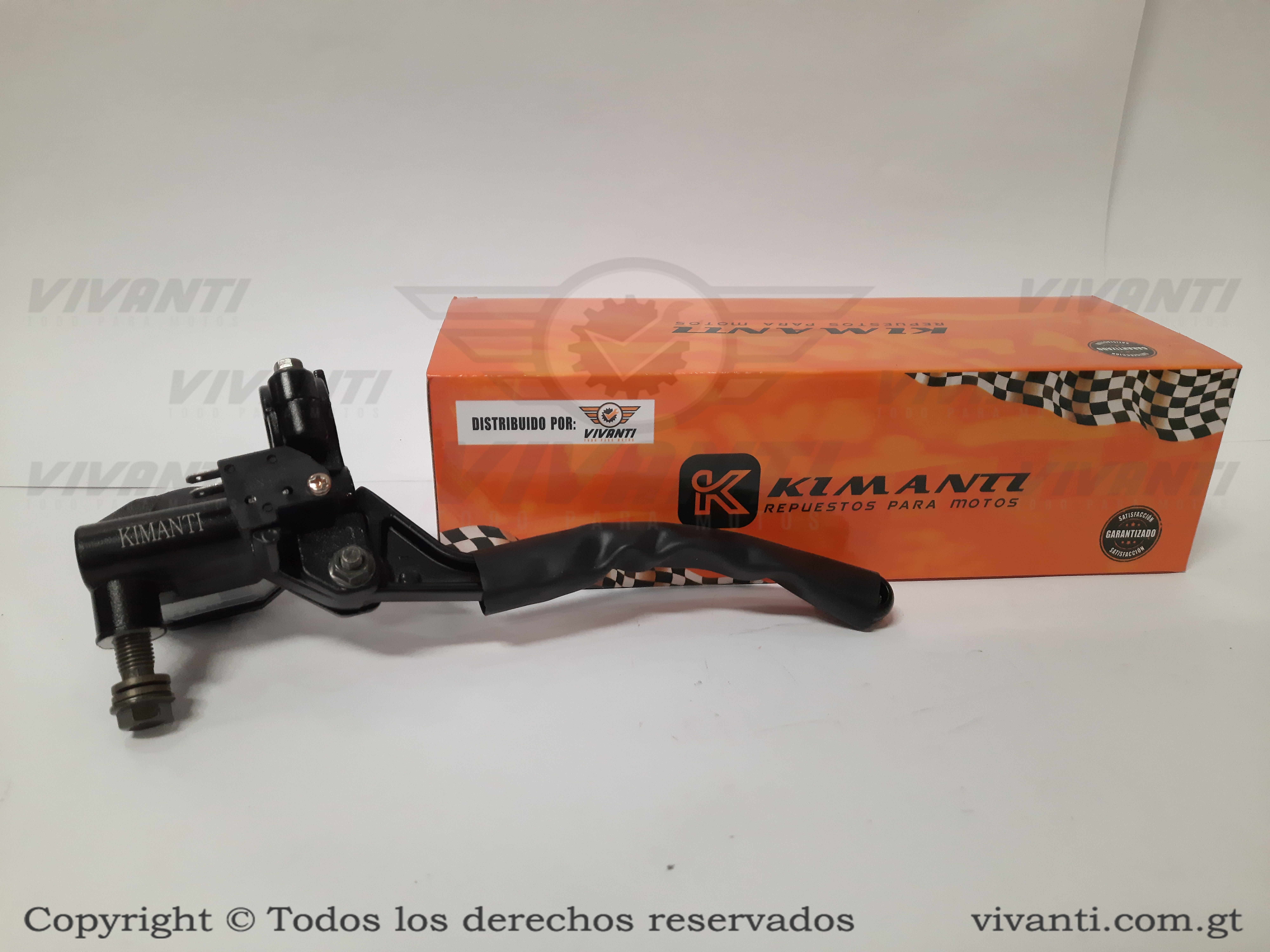 Bomba De Freno Con Manecilla GN