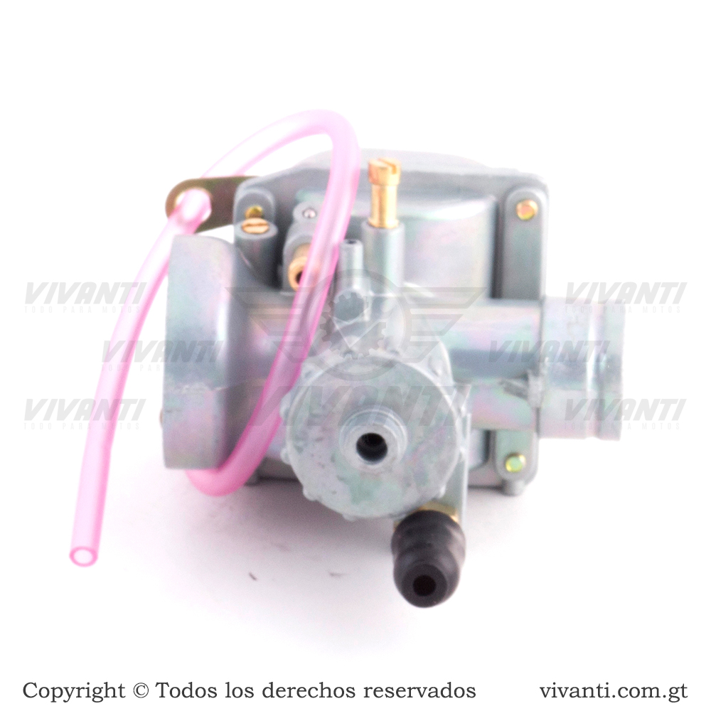 Carburador Ax-100