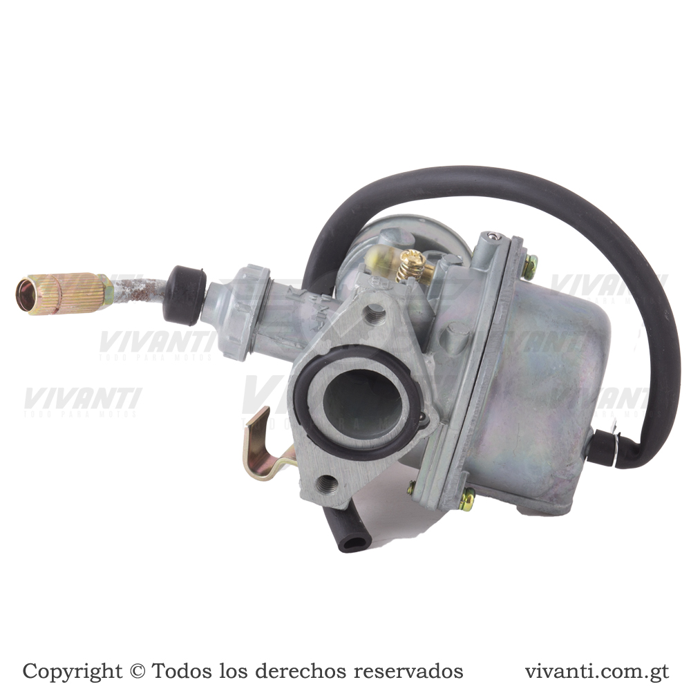 Carburador CT-100