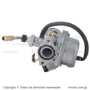 Carburador CT-100