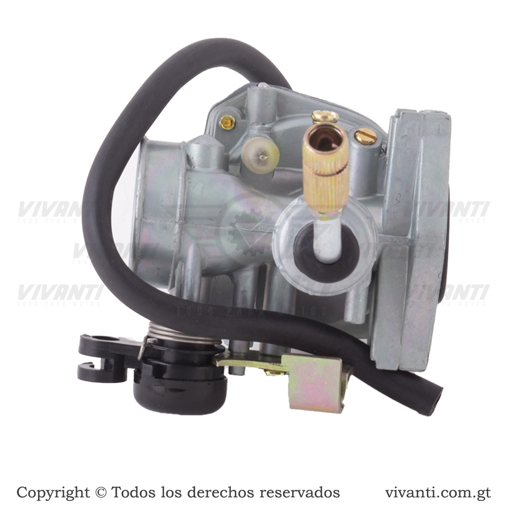 Carburador CT-100