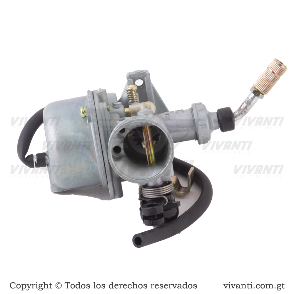 Carburador CT-100