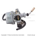 Carburador CT-100