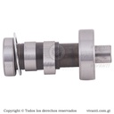 Eje De Levas Discover-125