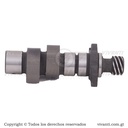 Eje De Levas GNH 125