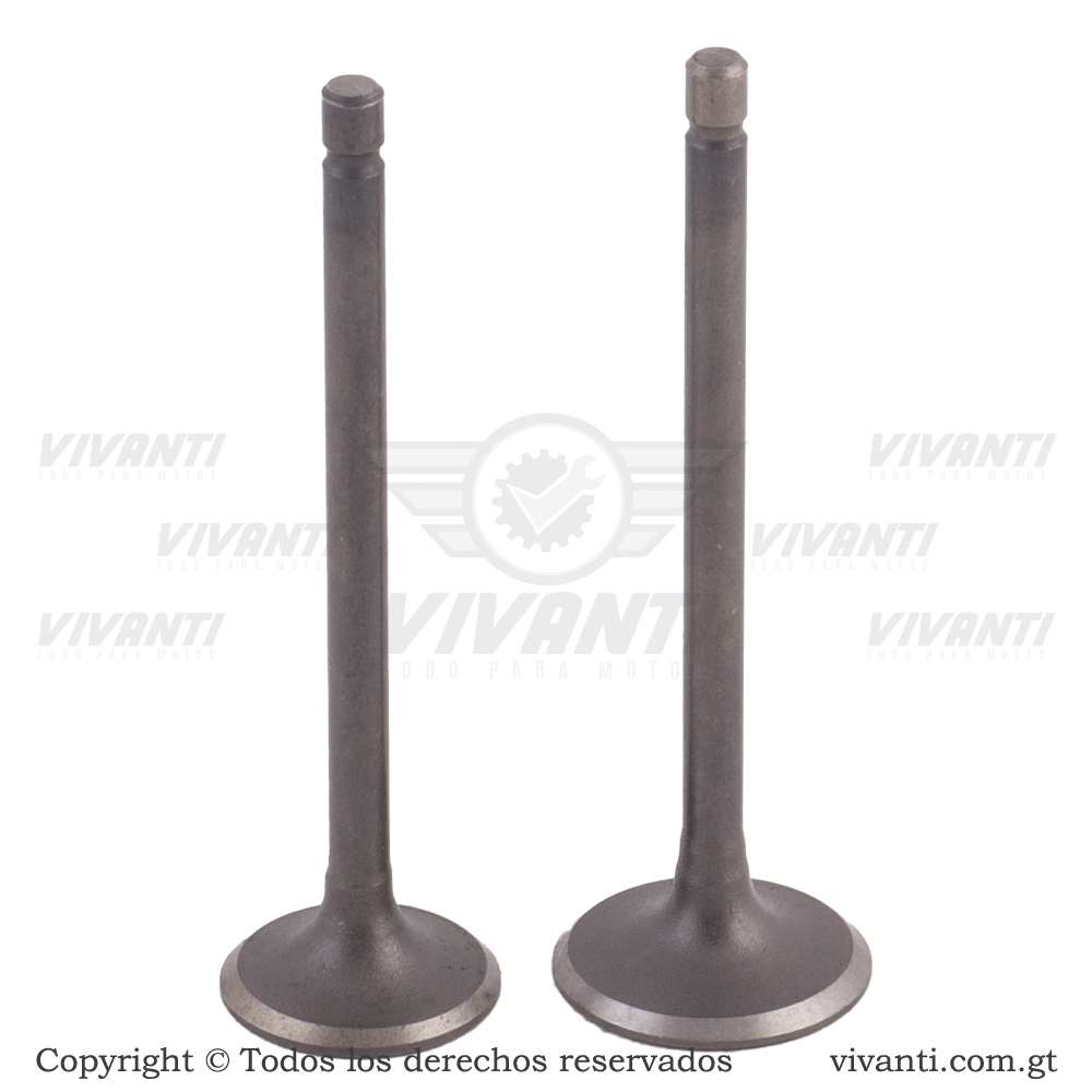 Válvulas Admisión Y Escape  GY6 150