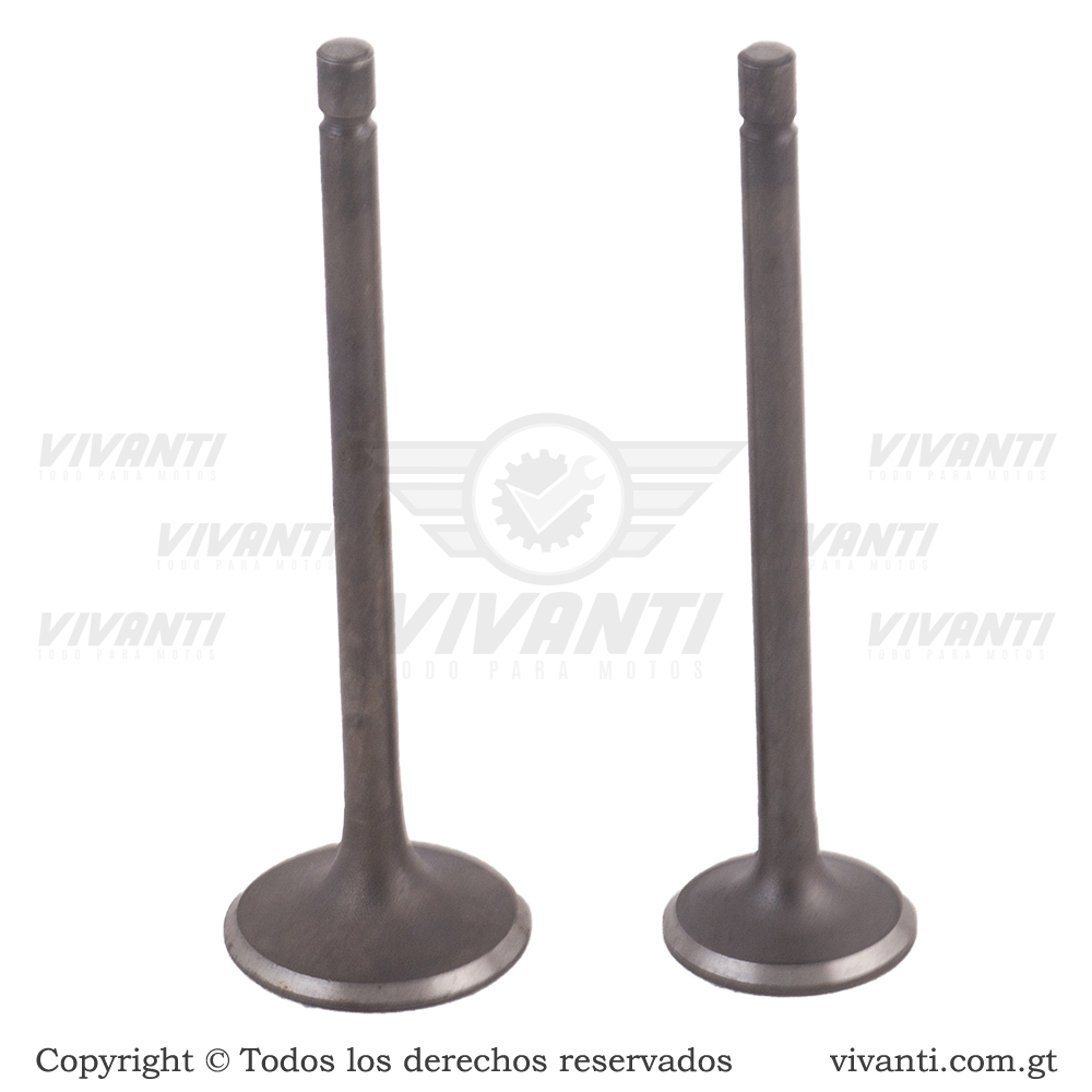 Válvulas Admisión Y Escape CGL