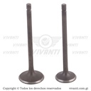 Válvulas Admisión Y Escape CGL