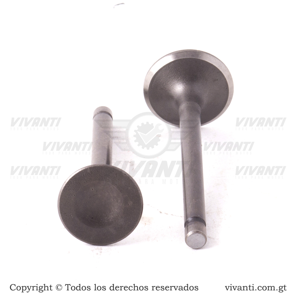 Válvulas Admisión Y Escape CT-100