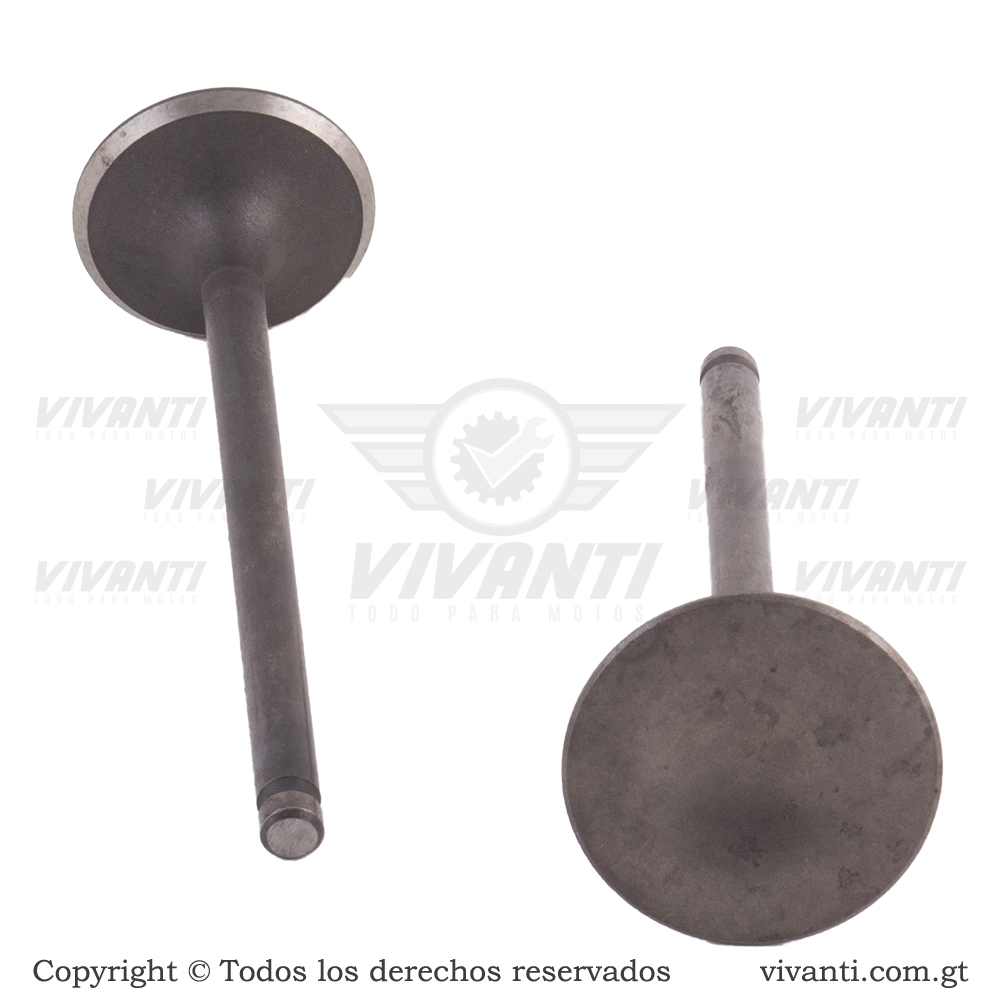 Válvulas Admisión Y Escape Dakar 200