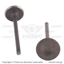 Válvulas Admisión Y Escape Dakar 200