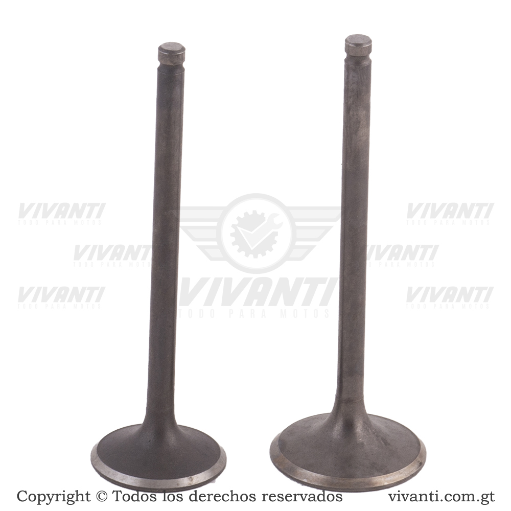 Válvulas Admisión Y Escape Dakar 200