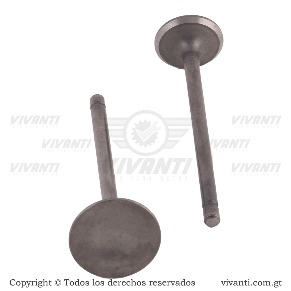 Válvulas Admisión Y Escape Dakar-150