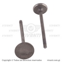 Válvulas Admisión Y Escape Dakar-150