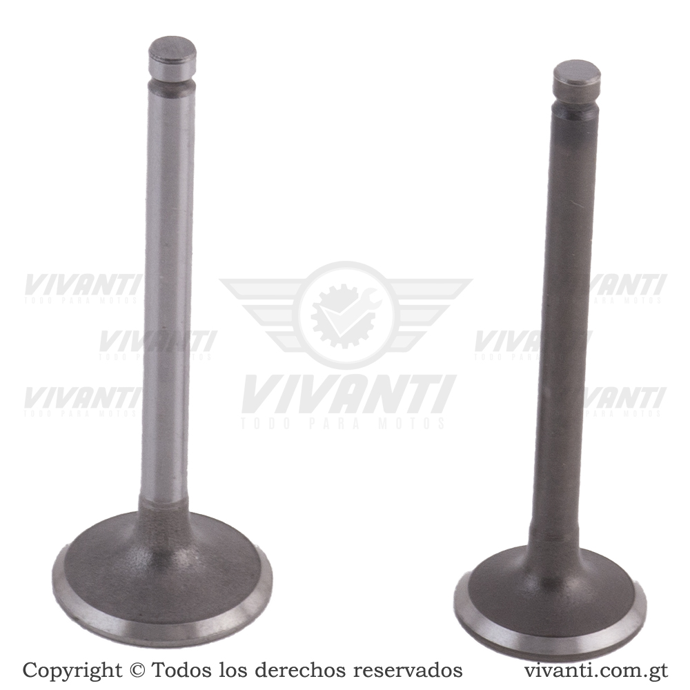 Válvulas Admisión Y Escape Elite