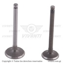 Válvulas Admisión Y Escape Elite