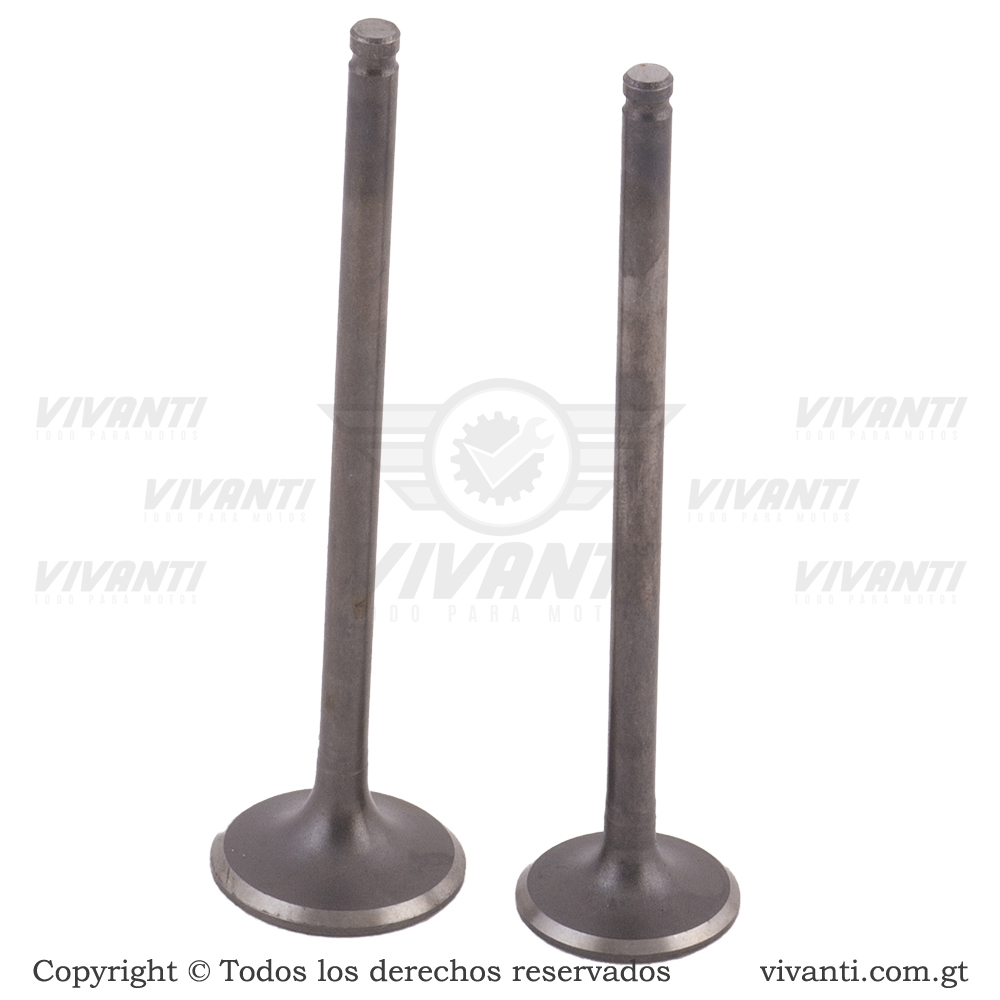 Válvulas Admisión Y Escape GNH