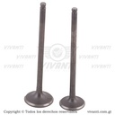 Válvulas Admisión Y Escape GNH