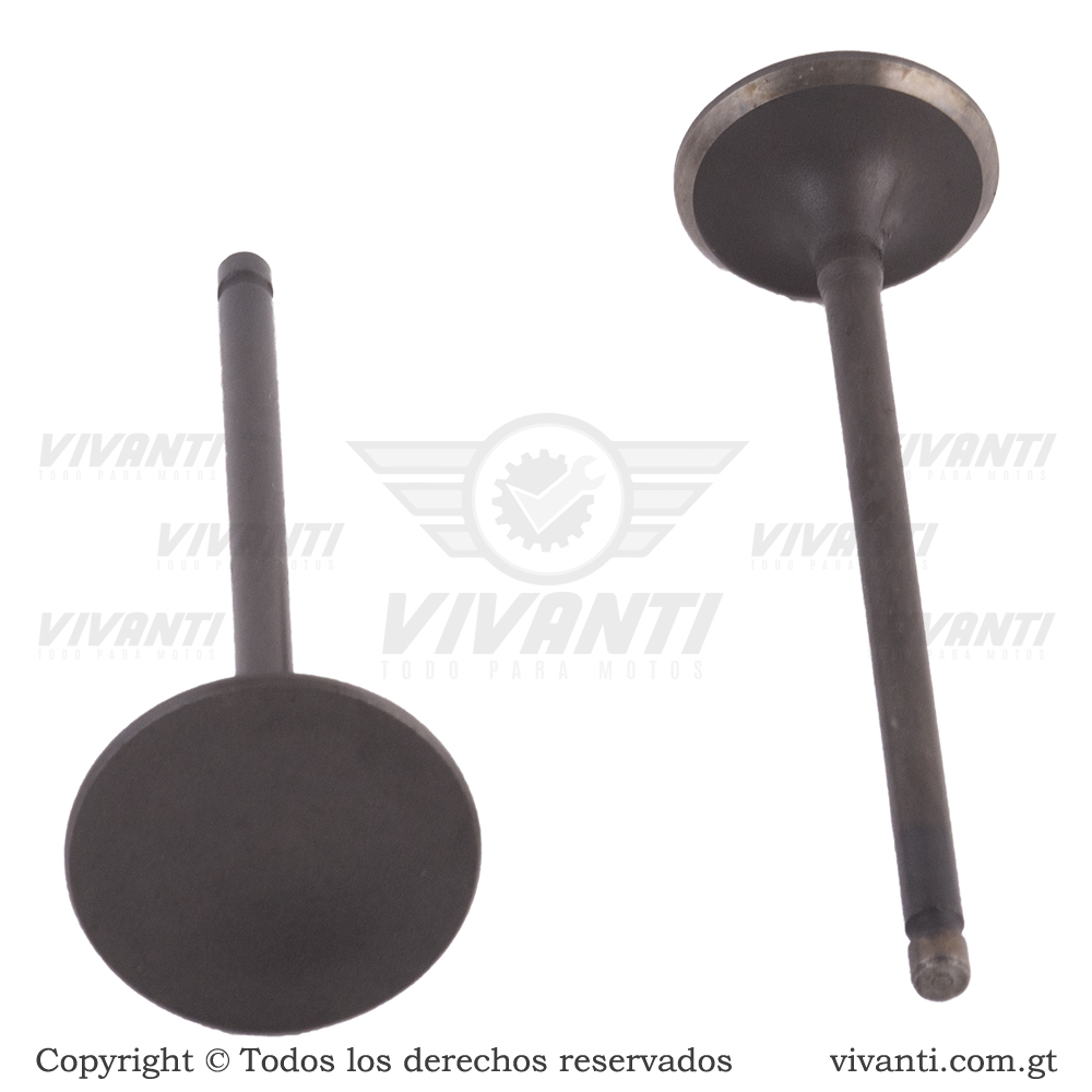 Válvulas Admisión Y Escape Pulsar 180
