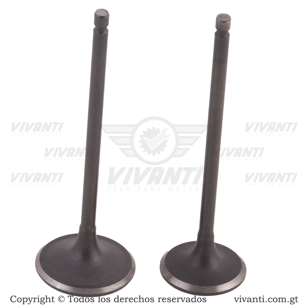 Válvulas Admisión Y Escape Pulsar 180