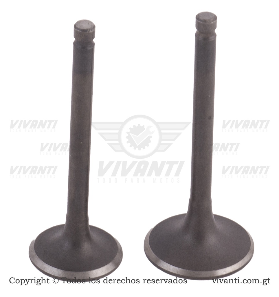 Válvulas Admisión Y Escape YBR