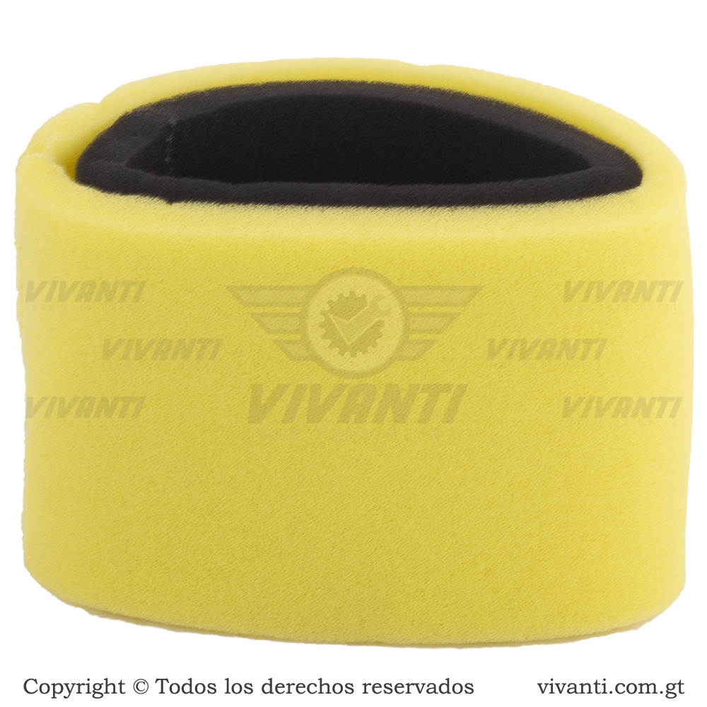 Filtro De Aire CGL 125