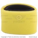 Filtro De Aire CGL 125