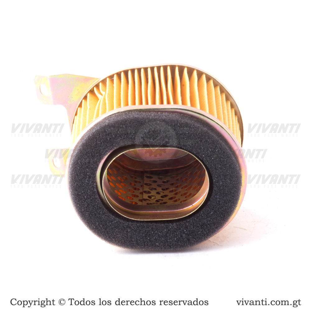 Filtro De Aire Elite