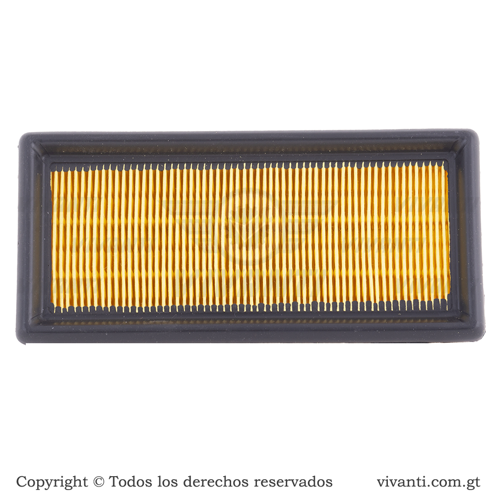 Filtro De Aire Pulsar 200 NS