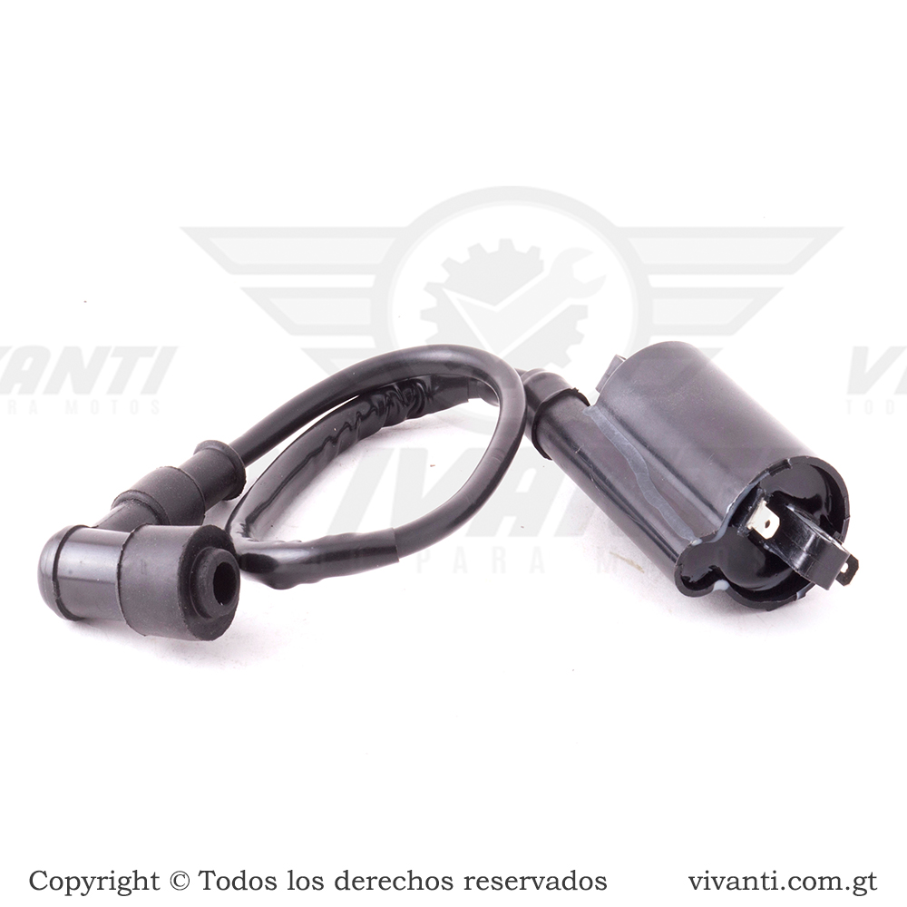 Bobina De Alta GNH 125