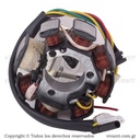 Plantas CG "China" y GN e imitaciones (8 Bobinas) (No tiene bobina Impulsora - Italika 125 FT -Freedom Fire 125*)