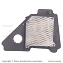 Filtro De Aire YBR 125