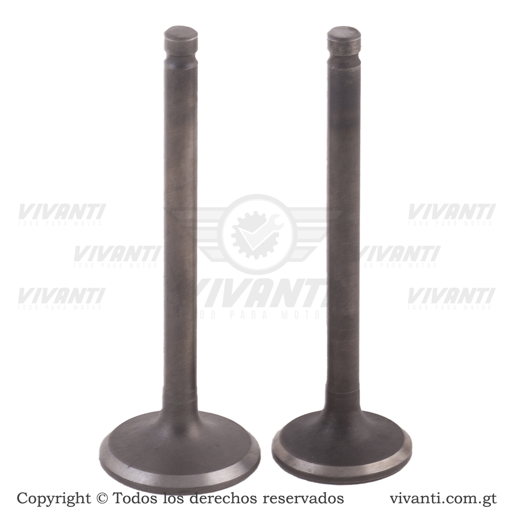 Válvulas Admisión y Escape C-110