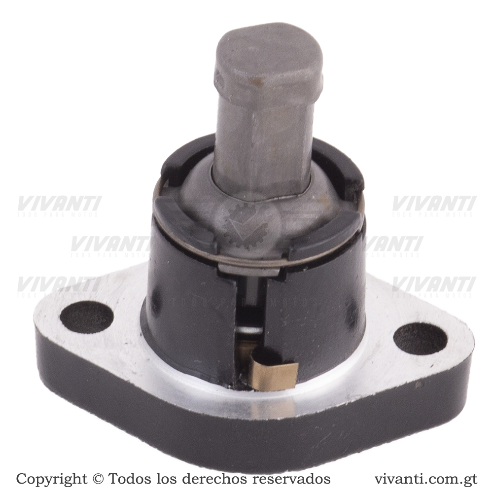 Tensor Cadena De Tiempo Platina-100