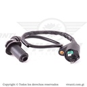 Bobina De Alta GY6 125