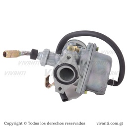 [193276] Carburador CT-100