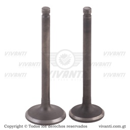 [193762] Válvulas Admisión y Escape C-110