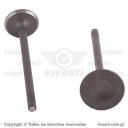 [193043] Válvulas Admisión Y Escape CGL