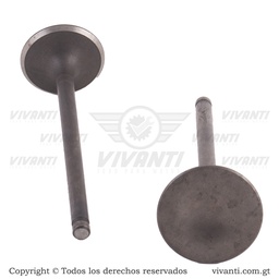 [193756] Válvulas Admisión Y Escape Dakar 200