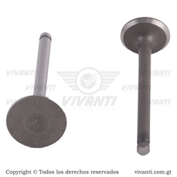 [193758] Válvulas Admisión Y Escape Elite