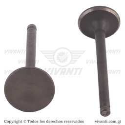 [193759] Válvulas Admisión Y Escape GY6 125